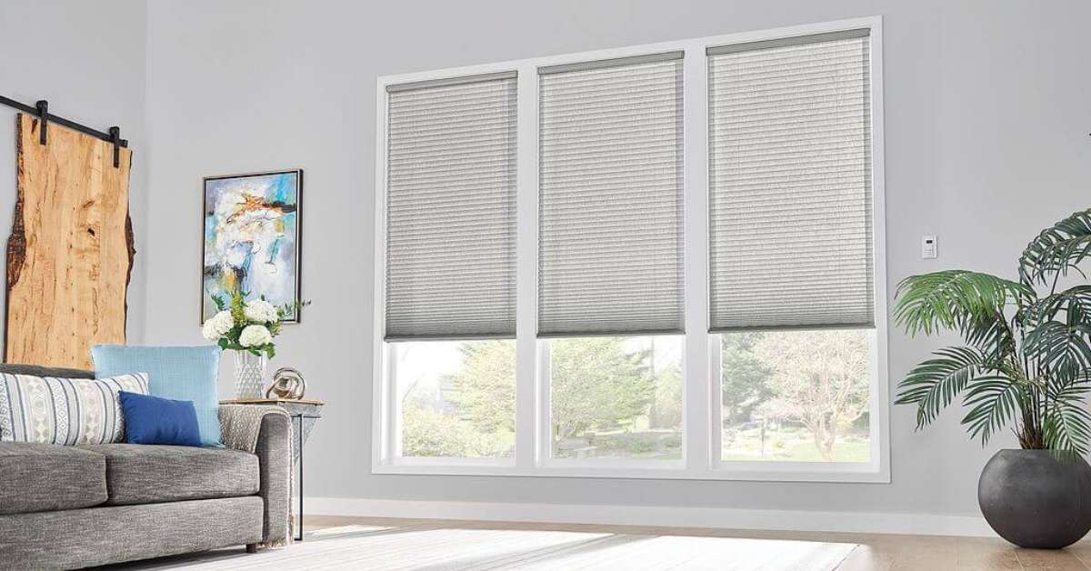 cellular shades are one of the options for buyers looking for affordable window treatments.